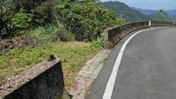 20250422豐田派出所-磨石坑古道-磨石坑山-圳沽古道2767911