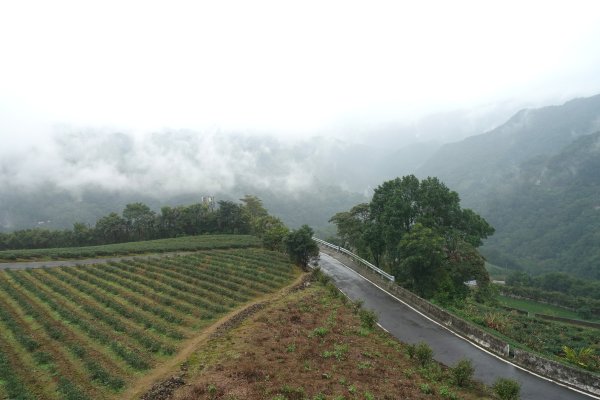南山寺觀景台3086091