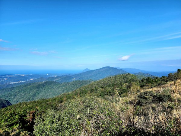 小百岳集起來-姜子寮山2181035