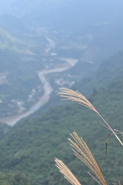 谷關七雄-白毛山2888235