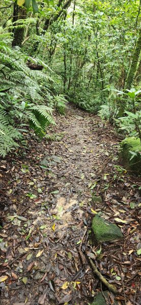 阿哲/小黑3031516