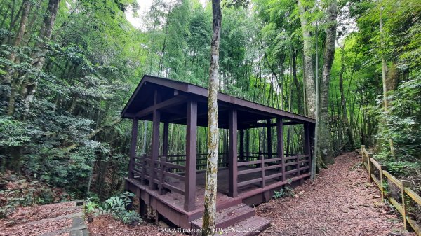 《雲林》望好望角｜石壁山嘉南雲峰步道(中側登山口）202506072805367