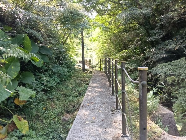 平溪區大華步道+幼坑古道+幼坑崙(大華車站-三貂嶺車站)2925176