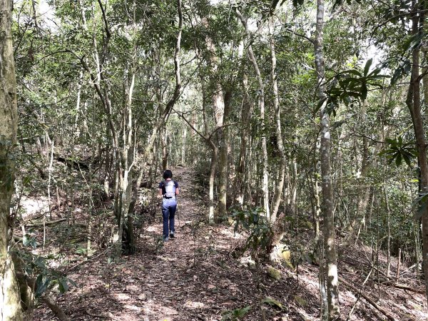 小百岳｜高雄茂林鳴海山1606730