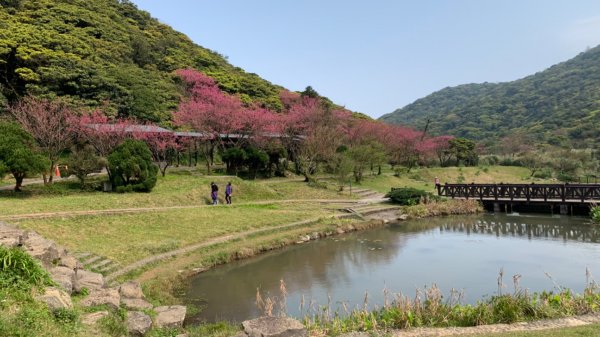 台北大縱走第二段1634996