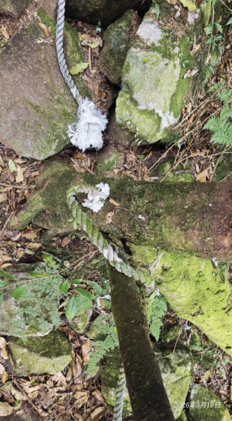 鳶嘴山步道引導繩被割斷15處鬆綁28處 山友怒批：根本在謀殺