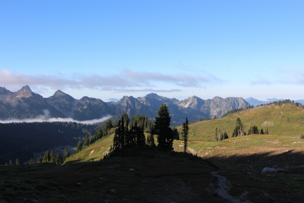 201508美國西部行1雷尼爾山84451