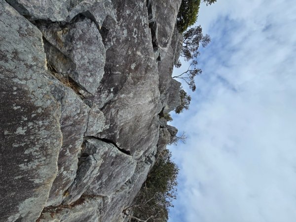 鳶嘴山+稍來神木2709881