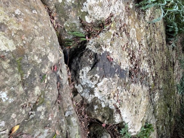 馬拉邦山健行1520711