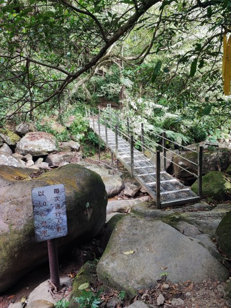 暖東峽谷步道-(基隆)臺灣百大必訪步道2249153