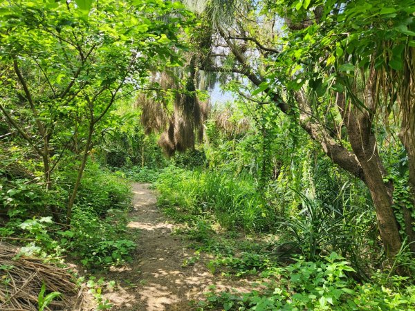 1140419龍港連走白沙屯(含好望角,牧羊古道,舊鐵道,海角樂園,山邊媽,白沙屯)2767288
