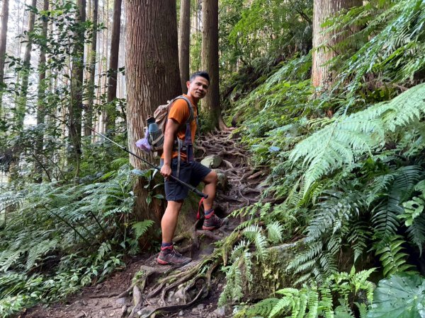 哈勘尼山-加里山【完美收官完登小百岳】2942439