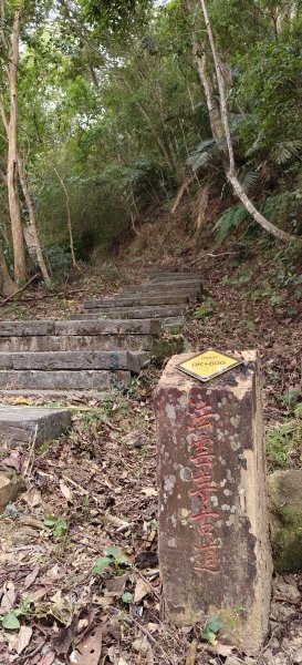 2024/12/22_出關古道出雲段2674446