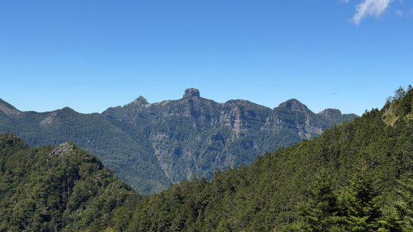 一日單攻桃山2903276