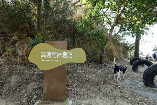 觀音山｜大社觀音山小百岳3002726