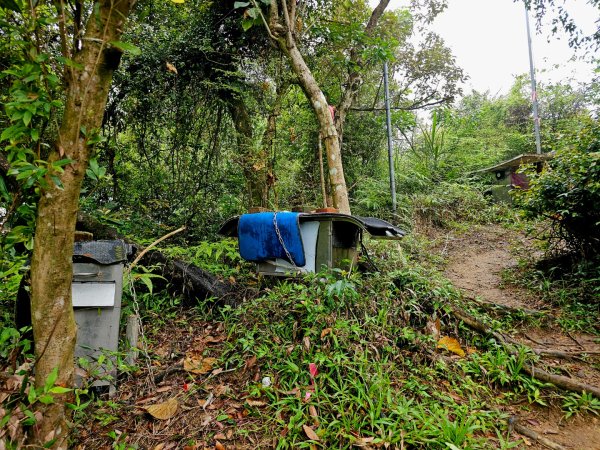 2026年臺北大縱走第六段：中華科技大學至捷運麟光站3026039