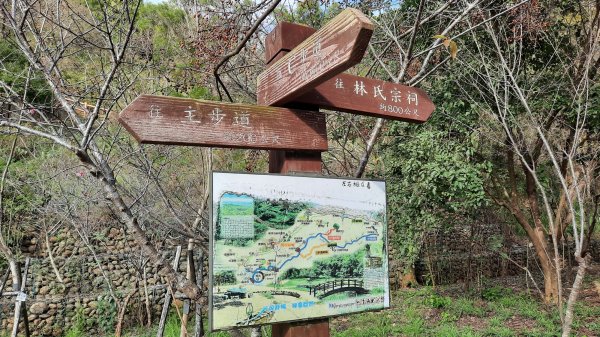 《台中》聖光降臨｜龍井竹坑南寮登山步道202201301595917