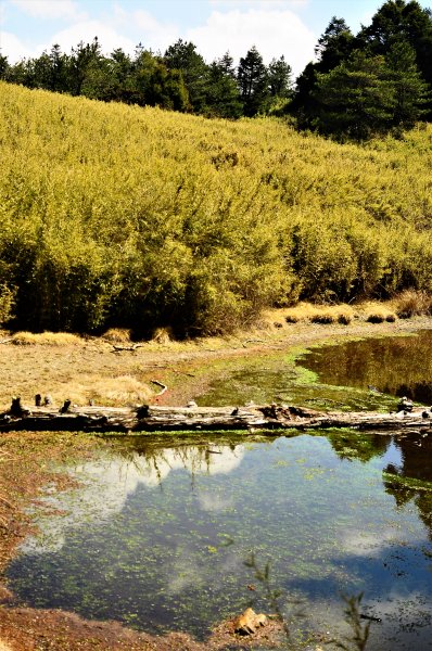 武法奈尾山天巒池872531