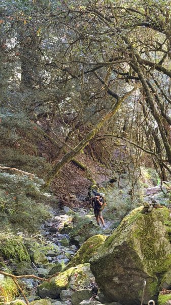 中央尖山 2025 11/7 三天兩夜2935761