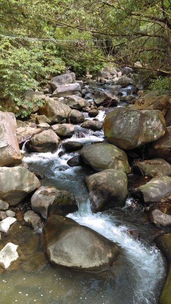 溪水潺涓的半嶺水圳步道、硫氣氤氳的龍鳳谷890883
