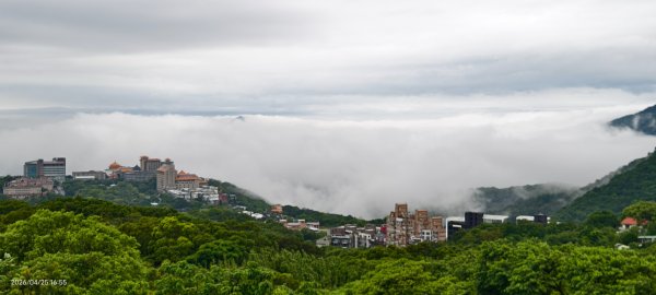 #文化大學 #雲海 #琉璃光 #陽明山秘境 4/253042452