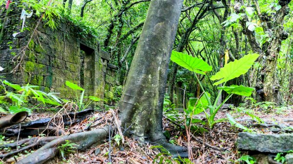 石笋古道,焿子寮古道,松子嶺古道2798338