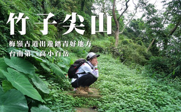 【竹子尖山】梅嶺古道踏青好地方 | 台南第二高小百岳