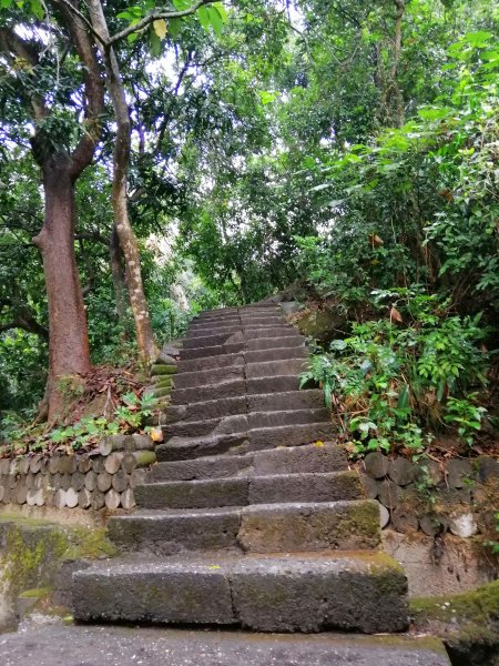 高雄大社~健身踏青好選擇~小百岳觀音山907974