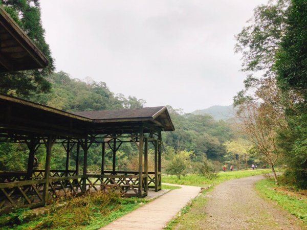 福山植物園511001