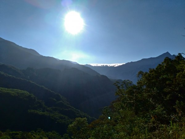 大母母山2424m 殘念未登頂1150173