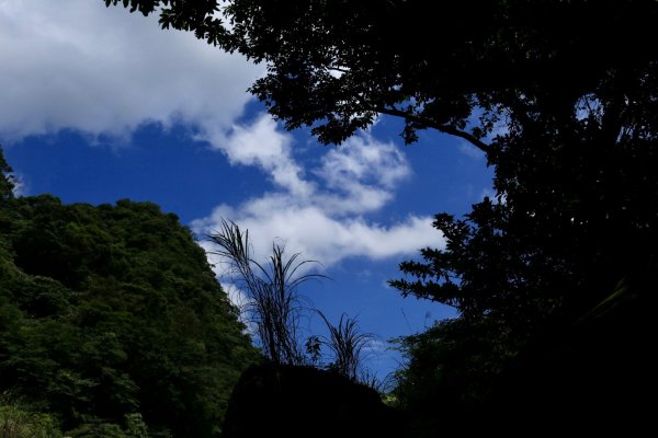 灣潭古道、花岩山林1022994