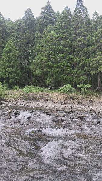 嵐山水之篇：保津峡遊船3088817