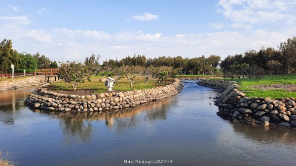 《台中》海濱夕陽｜龜殼生態公園連走大安紅樹林生態步道202410202632394