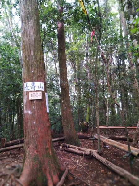 【台中。和平】綠蔭山林滿滿芬多精。大雪山林道 ~1860峰(長壽山)1425458