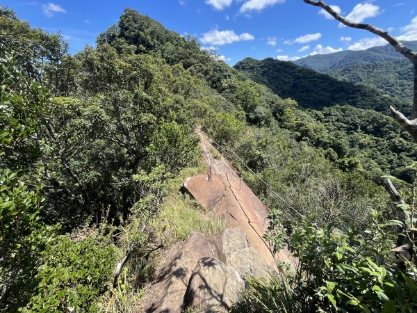 [微笑山線_第九段] 2025_0914 二格山系_天王峰2889623