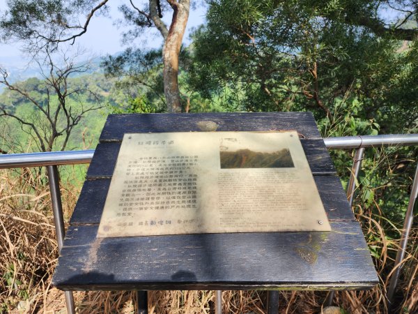 田中森林登山步道2411091