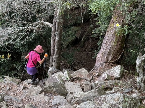 波津加山 202509142893384