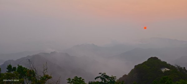 #山羌 #親子檔 #二格山 #日出 #雲海 #晨霧 4/113033445