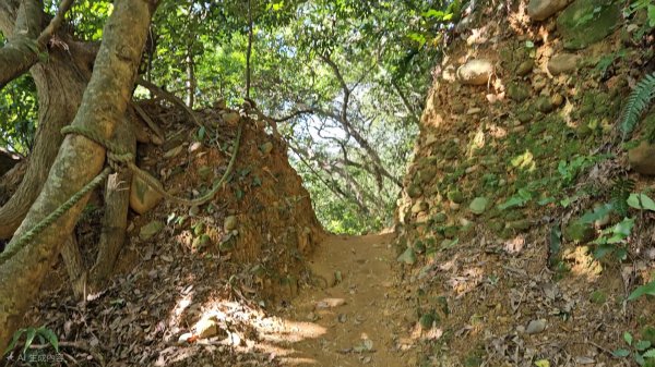 20251215林口森林步道+太平嶺海濱步道2969389