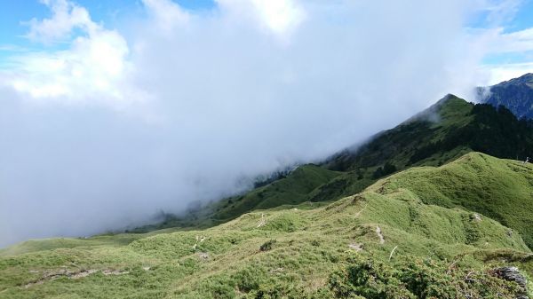 小奇萊草原封面