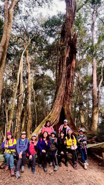 🌈1/18（日）忘憂森林×金柑樹山×溪頭天文台✨FB：熊熊趴爬走🌈2983966