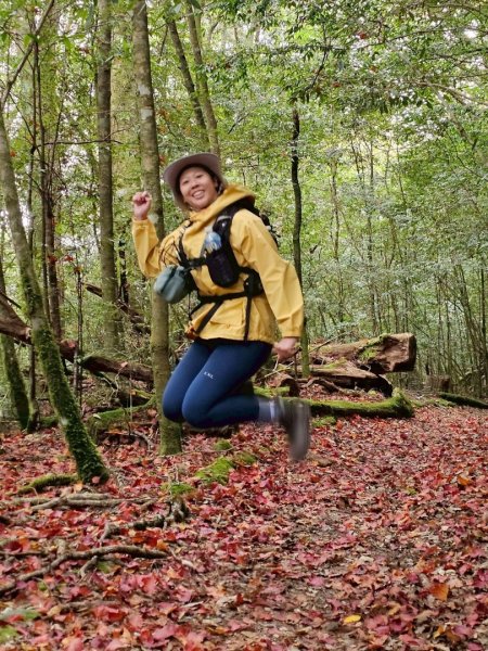 霞喀羅古道全線解鎖（石鹿到養老）2961040