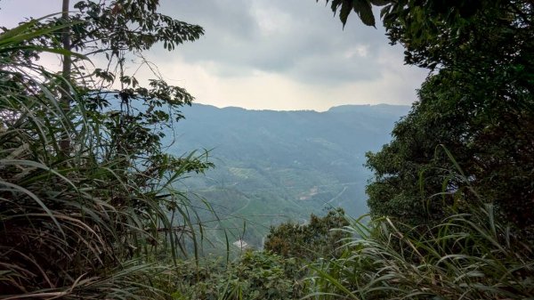 九份二山步道2861228