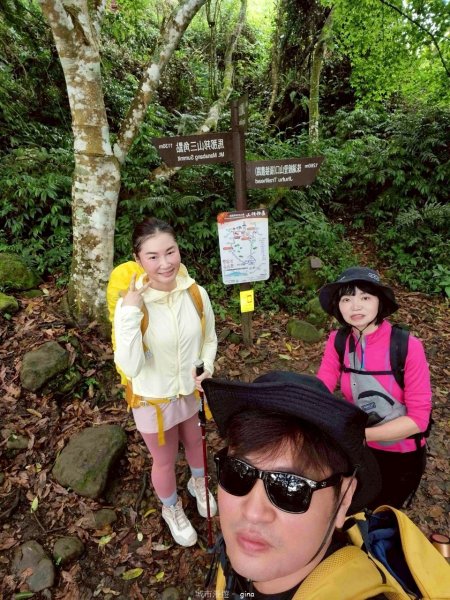 【苗栗大湖】山頂展望佳等到雲海。 馬那邦山登山步道2806801