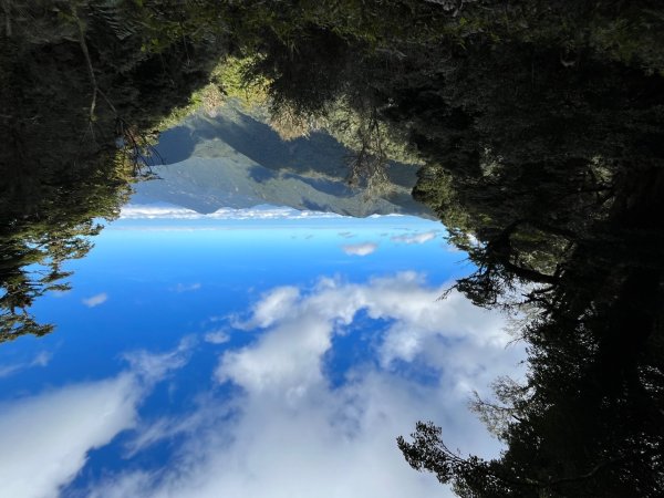 20231127_觀霧榛山步道（森遊竹縣）2763092