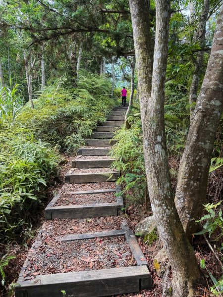 埔里能高瀑布-慶安步道-觀景台2801472