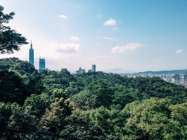 [台北信義] 虎山親山步道106888