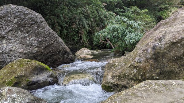 麻荖漏步道1320758