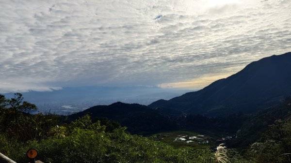 20260125 陽明山前後山健行(無極天元宮~山仔頂步道.向天池.向天山.面天山.二子坪)2998082