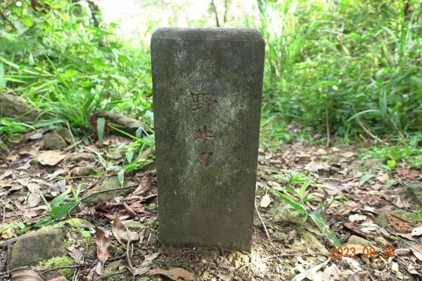 基隆 頂寮山、龍門山、五分山、頂子寮山2265936